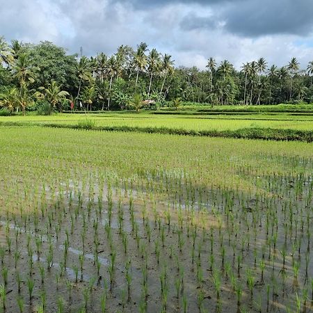 New 4 Bedroom Villa Surrounded By Jungle And Ricefields Ubud Zewnętrze zdjęcie