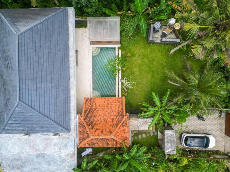 New 4 Bedroom Villa Surrounded By Jungle And Ricefields Ubud Zewnętrze zdjęcie
