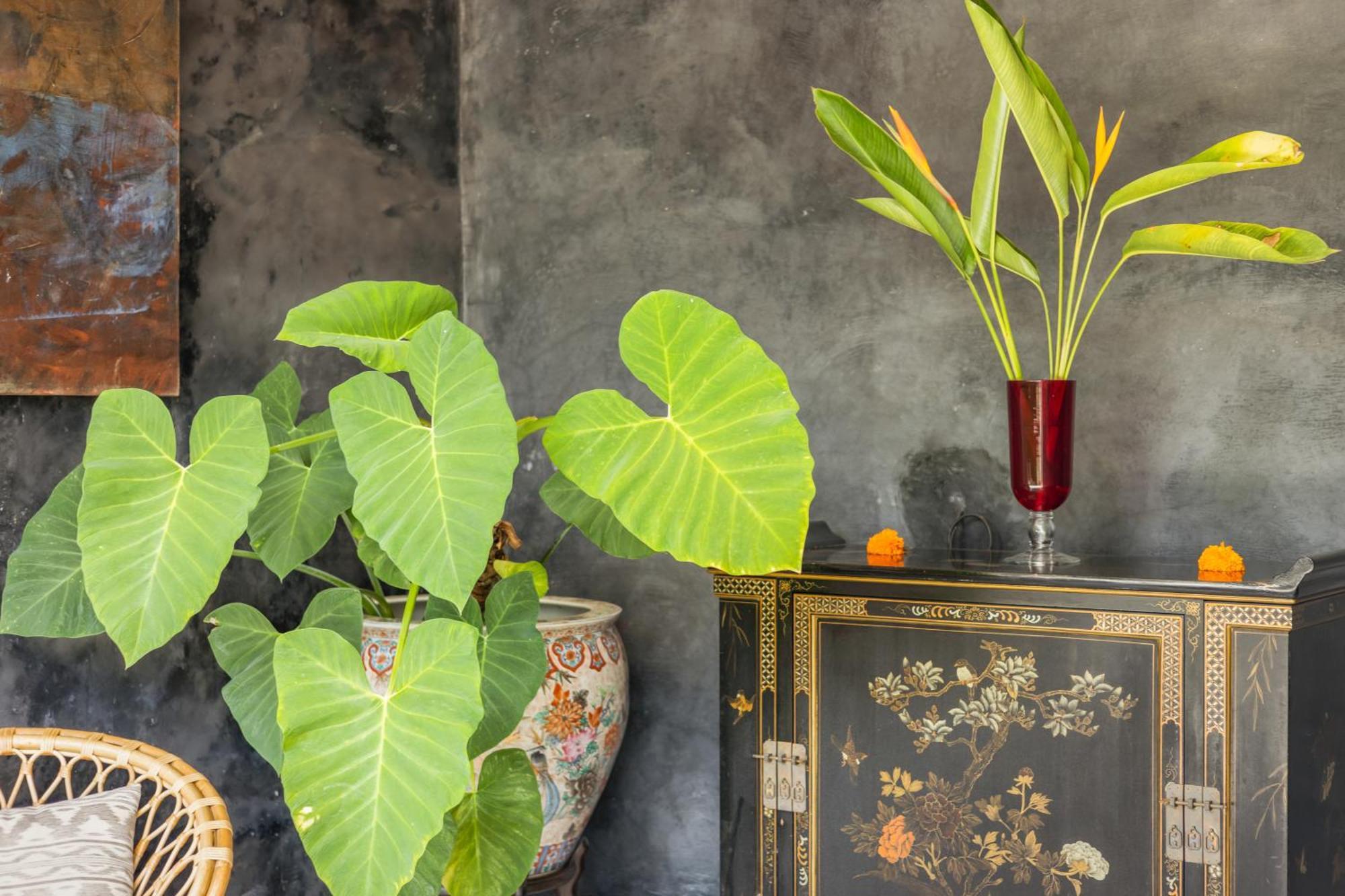 New 4 Bedroom Villa Surrounded By Jungle And Ricefields Ubud Zewnętrze zdjęcie
