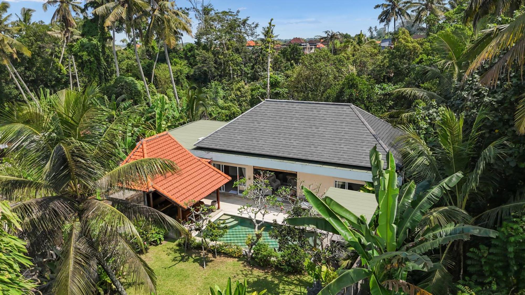 New 4 Bedroom Villa Surrounded By Jungle And Ricefields Ubud Zewnętrze zdjęcie